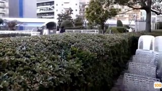 烟台论坛烧鸡上海再度归来